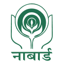 Development Assistant